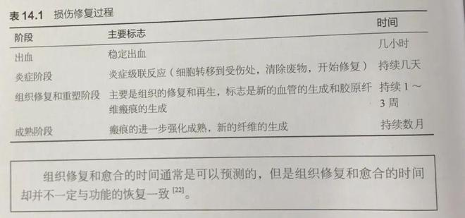 【康复治疗】肌肉损伤康复的三MK体育个阶段(图3)