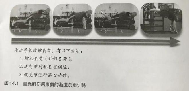 【康复治疗】肌肉损伤康复的三MK体育个阶段(图6)