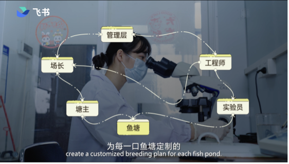 “MK体育母猪产后护理”上飞书？海大集团掀起农业数字化风暴(图2)