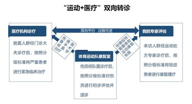 MK体育“体育+医疗”跨界融合：运动康复深度融合的理论与实践(图2)