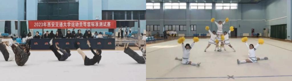 【审核评估促发展】体育中心：发展以学生为中心的体育赋能一流拔尖创新人才培养MK(图6)