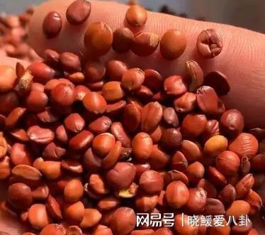 MK体育一盒12粒售价150元5年内价格暴涨近6倍消费者苦不堪言！(图3)
