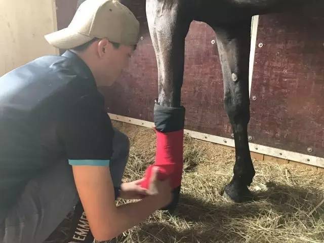 走进中国乡村）浙江湖州乡村咖啡香MK体育飘老蚕房