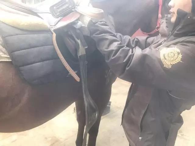 别人家的大MK体育学！青岛这所高校开设“骑马养马”专业央视关注