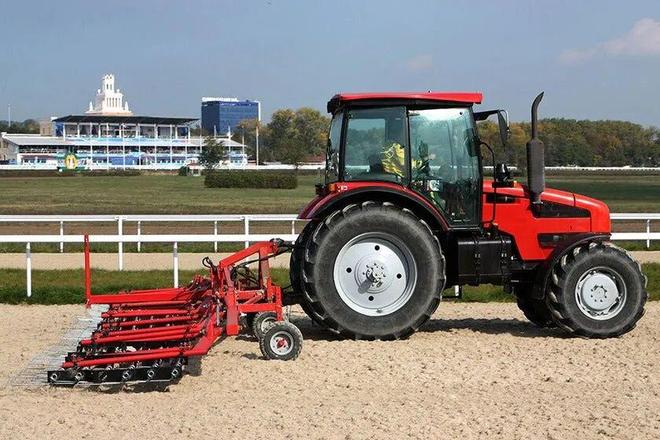 MK体育马一旦骨折真的就“没救了”吗？(图19)