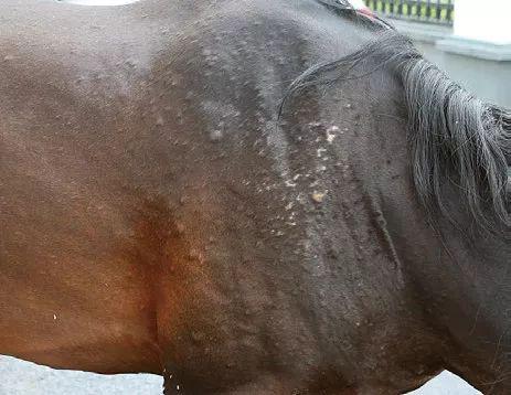 养老优势、环境设施、护理服务-昌平区敬老院2026月费6666起享优质养老MK体育