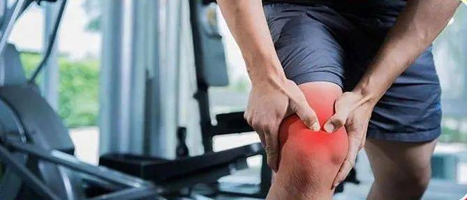 MK体育聚焦！全国两会上的北大声音