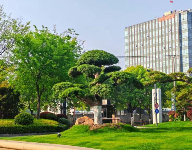 青浦誉华康复护理院收费多少？地址在哪？床位还剩多MK体育少全说明(图5)